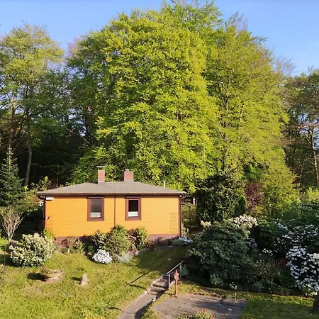Hébergement de vacances Und Waldhaus In Uriges Ambiente Trifft Ückeritz